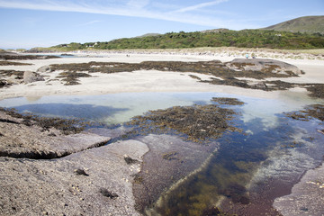 Rock Pool, Derrymore Bay Beach; Waterville