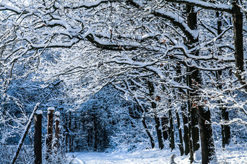 Wunderschöner verschneiter Winterweg