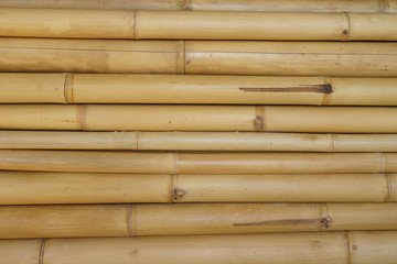 bamboo background, close up bamboo