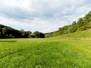 Meadow, forest and sky