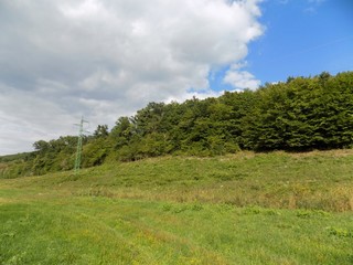 Fototapeta premium Meadow, forest and sky