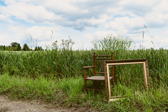 Chair with picture frame in nature IV
