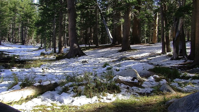 Beautiful Pond in Yosemite
