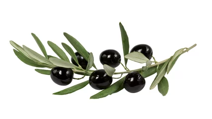 Wandaufkleber Olivenzweig mit schwarzen Oliven auf weißem hintergrund isoliert © vesta48