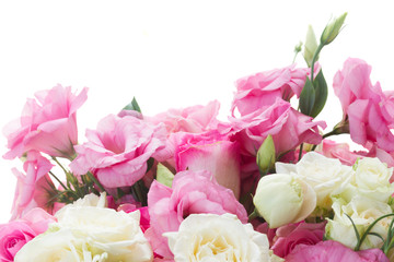 bouquet of fresh roses