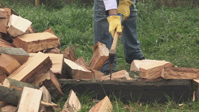 Lumberjack cutting wood logs with axe, man splitting firewood for winter season.