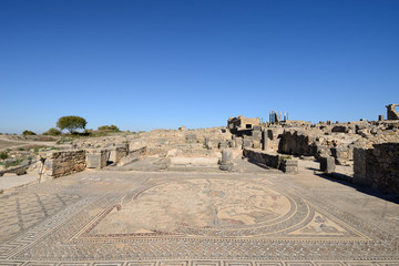 Ruins of the Roman Volubilis city in Morocco