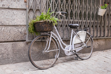 Fototapeta na wymiar white bicycle with wicker basket with a green plant decoration 