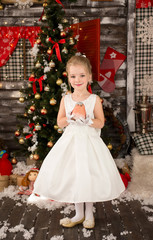 Cute Young beautiful girl wears Christmas dress. She has a littl