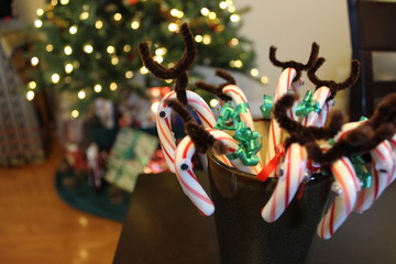 Fototapeta na wymiar Candy Cane Deer for holiday season.