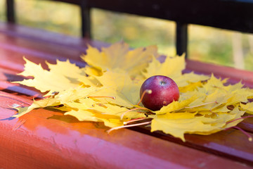 Autumn background/ Autumn leaves and berry as a heart over woode