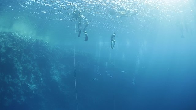 Group of freedivers working out in the sea