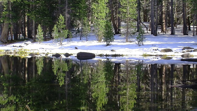 Beautiful Pond in yosemite
