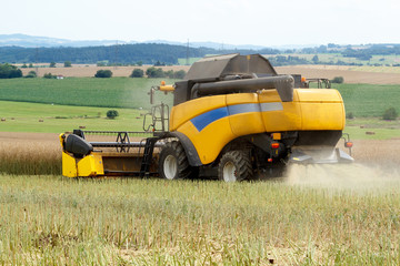 combine harvesting rape