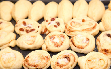 Buns with raisin and cinnamon before baking