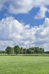 Lush green scenery with dramatic shaped clouds, The Netherlands
