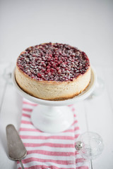 cranberry cheesecake 