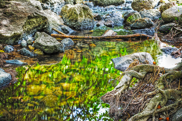 roots and rocks in Triulintas waterfall