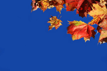 Hintergrund - Herbstzeit