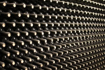 wine bottles in cellar
