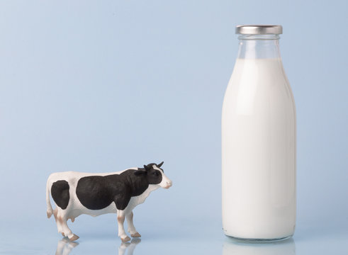 Milk bottle with cow