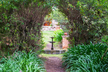 Fototapete bei efototapeten.de bestellen   