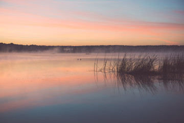 Foggy morning on the country lake - vintage effect