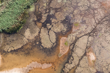 aerial view of the swamp  lake landscape