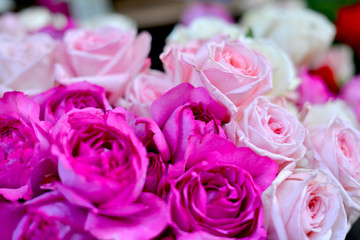 roses