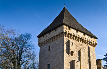 Saint Léon sur Vézère (Dordogne)