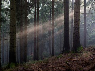 Obraz premium Light Beam