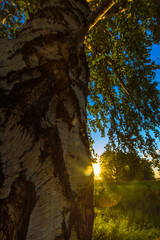 Закат солнца в полях Сибири, Россия