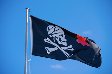 Caribbean Pirate Jack Sparrow Flag Jolly Roger Skull Crossbones waving in the wind on a flag pole