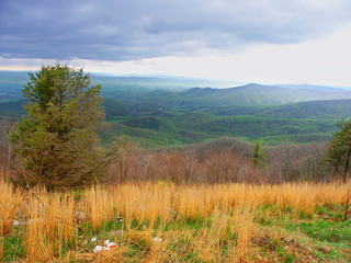 Hilly landscape of Shenandoah National Park in Virginia seen from Skyline Drive