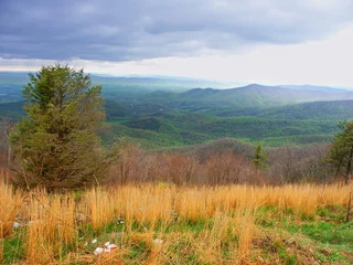 Deurstickers Hilly landscape of Shenandoah National Park in Virginia seen from Skyline Drive © Wirepec