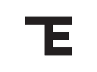 TE Letter Identity Monogram Logo