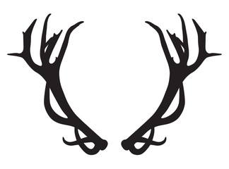 Obraz premium black silhouette of deer antlers