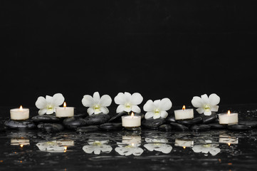 Still life with five orchid with candle therapy stones 