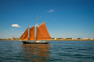 Fototapeta na wymiar Sailing ship yachts with orange sails,Boston coast