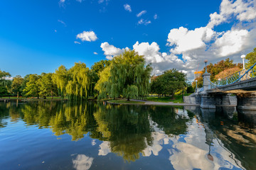 Fototapeta na wymiar Weeping willow trees and a pond in the Boston Public Garden