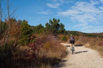 Obraz premium Mountain Bike cyclist