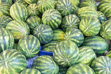 Fototapeta na wymiar Many big sweet green watermelons at farmers market stall.