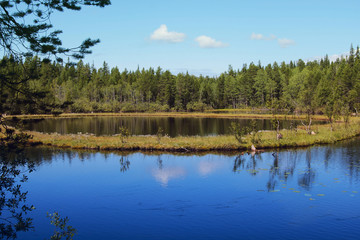 Fototapeta premium Lake B.Krasnoe. White Sea, Big Solovetsky Island