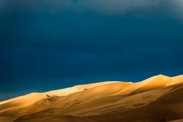 Desert Sunrise Landscape