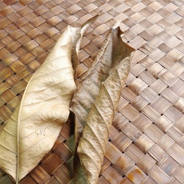 Dry Leaf