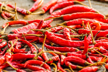 dried red hot chilli chillies pepper 