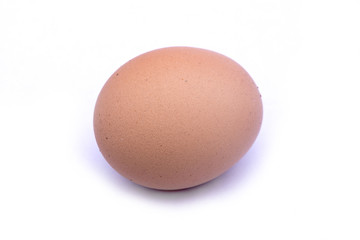 Egg on white background