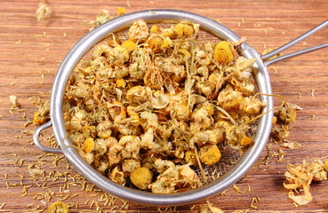Dried chamomile on metal sieve, alternative medicine
