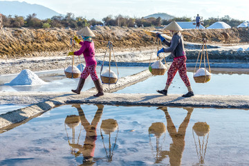 Farmers carrying salt on embankment with full shoulders  alignment salt burden hurried mirror into...