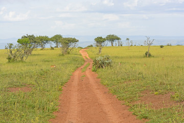 Fototapeta na wymiar Rural Road in the African Veldt